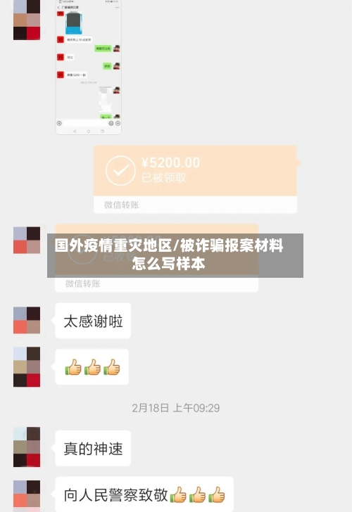 国外疫情重灾地区/被诈骗报案材料怎么写样本
