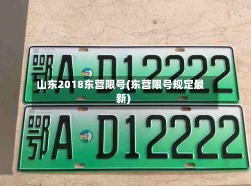 山东2018东营限号(东营限号规定最新)