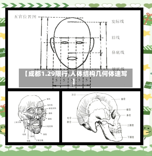【成都1.29限行,人体结构几何体速写】-第2张图片