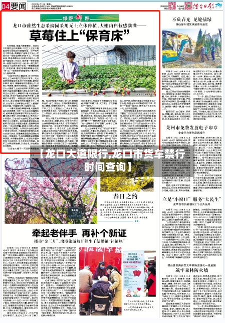 【龙口大道限行,龙口市货车禁行时间查询】-第2张图片
