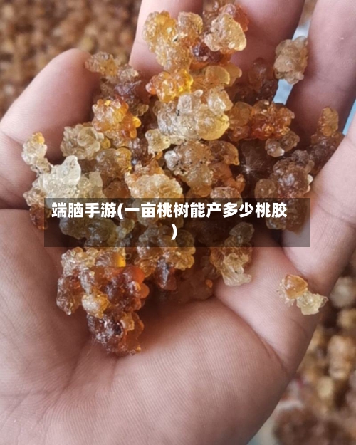 端脑手游(一亩桃树能产多少桃胶)-第3张图片