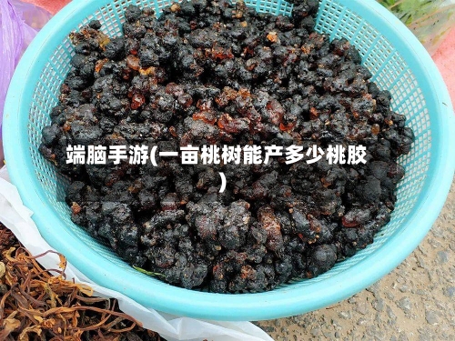 端脑手游(一亩桃树能产多少桃胶)-第2张图片