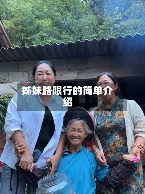 姊妹路限行的简单介绍-第3张图片