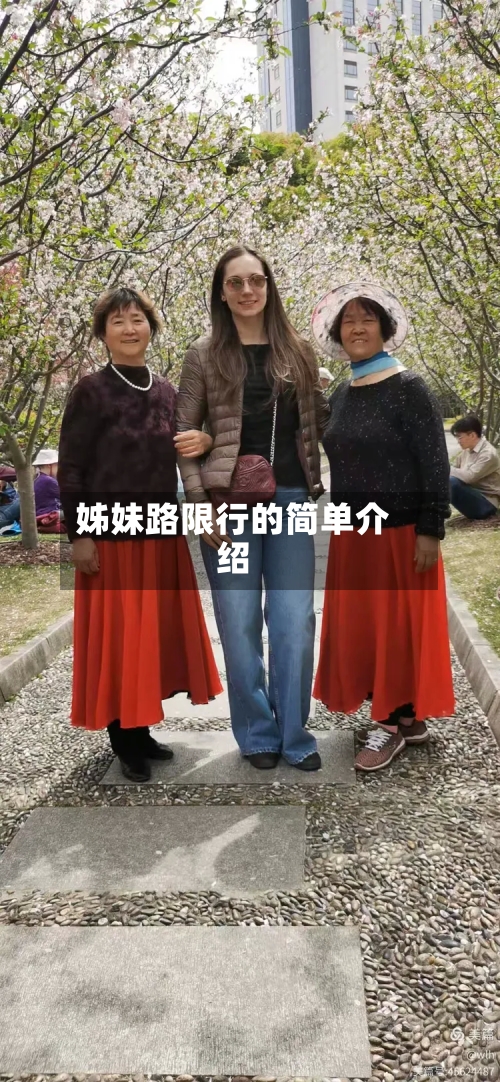 姊妹路限行的简单介绍