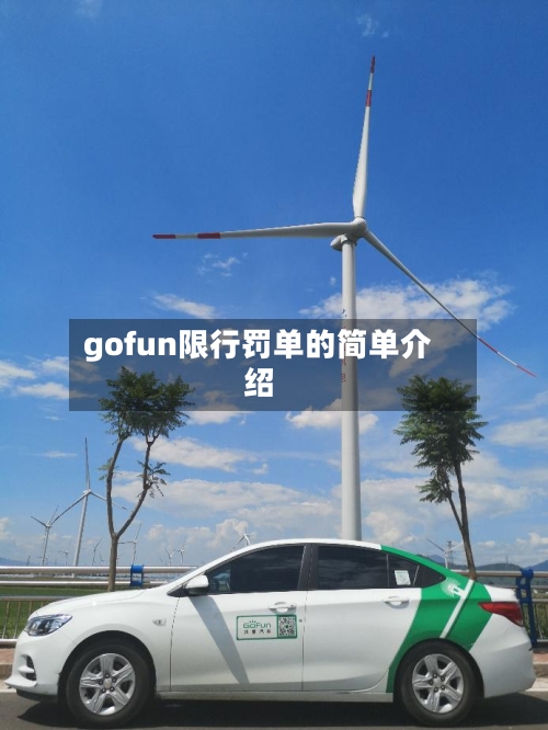 gofun限行罚单的简单介绍