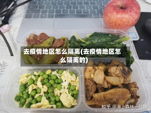 去疫情地区怎么隔离(去疫情地区怎么隔离的)