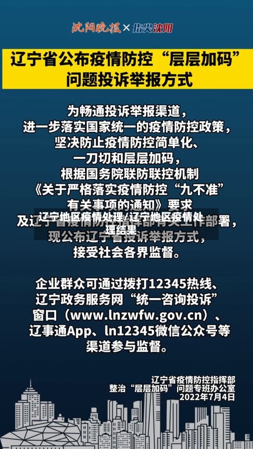 辽宁地区疫情处理/辽宁地区疫情处理结果