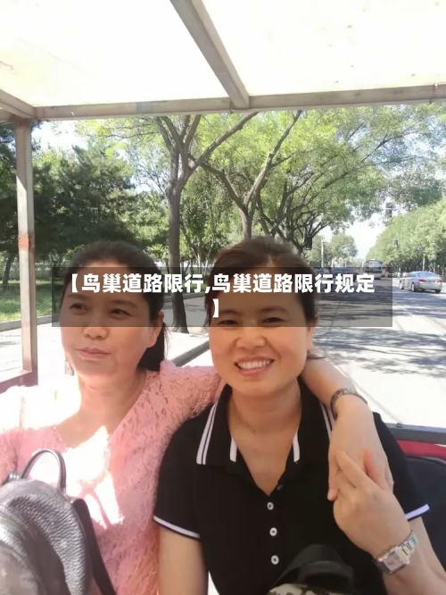 【鸟巢道路限行,鸟巢道路限行规定】-第3张图片