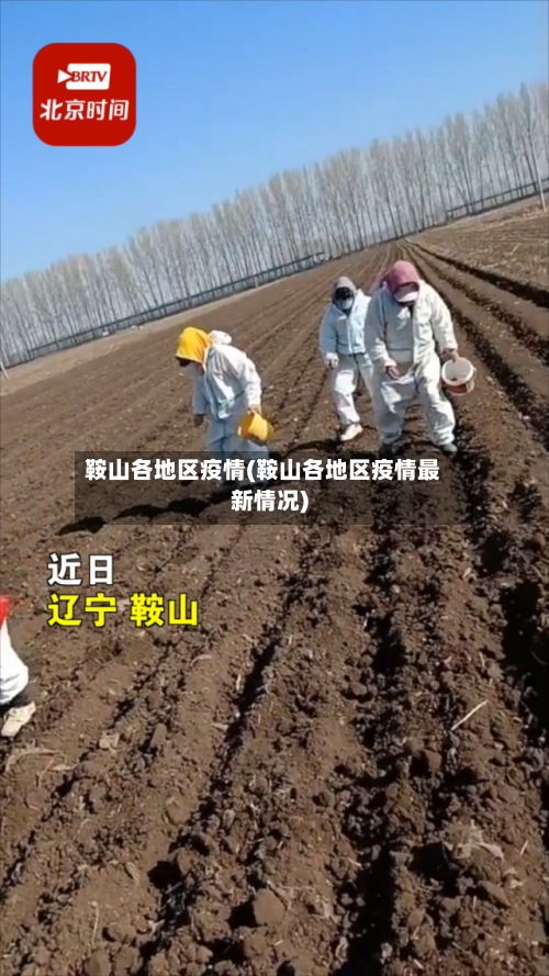 鞍山各地区疫情(鞍山各地区疫情最新情况)-第2张图片