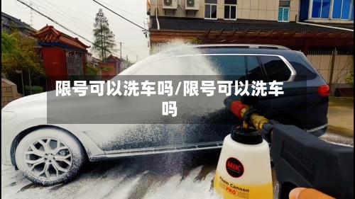 限号可以洗车吗/限号可以洗车吗-第2张图片