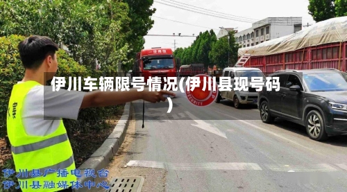 伊川车辆限号情况(伊川县现号码)-第2张图片