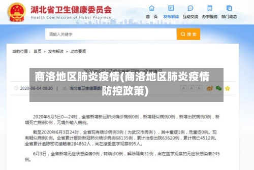 商洛地区肺炎疫情(商洛地区肺炎疫情防控政策)-第2张图片