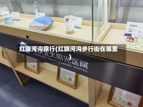 红旗河沟限行(红旗河沟步行街在哪里)-第2张图片