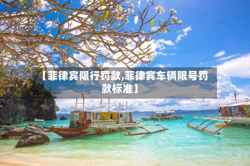 【菲律宾限行罚款,菲律宾车辆限号罚款标准】-第2张图片