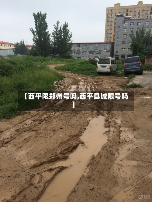 【西平限郑州号吗,西平县城限号吗】-第2张图片