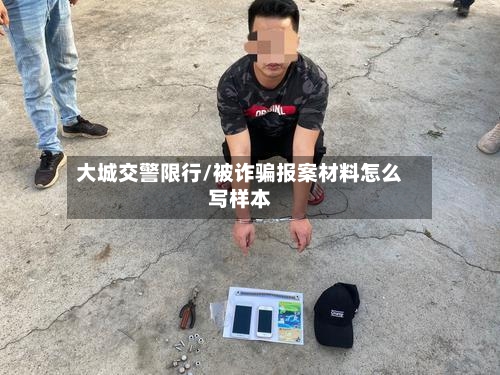 大城交警限行/被诈骗报案材料怎么写样本-第2张图片