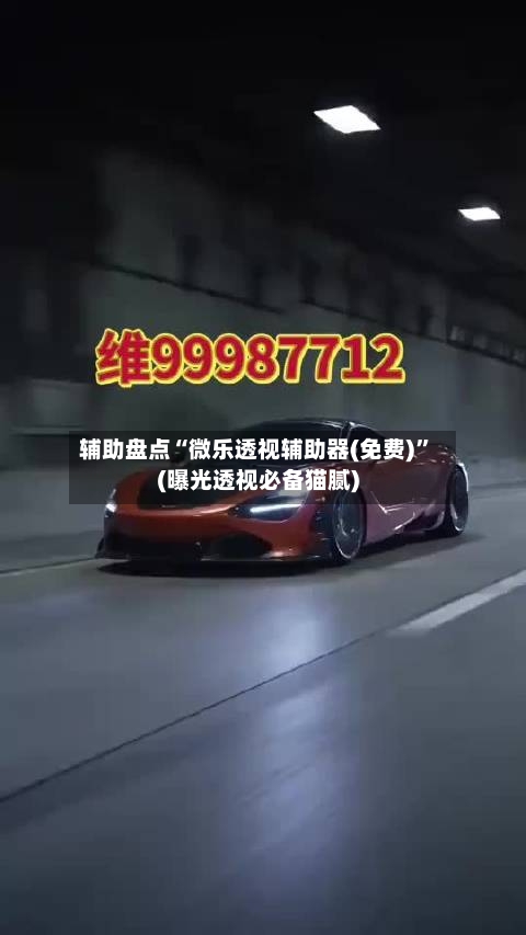 辅助盘点“微乐透视辅助器(免费)	”(曝光透视必备猫腻)-第2张图片