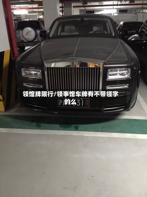 领馆牌限行/领事馆车牌有不带领字的么