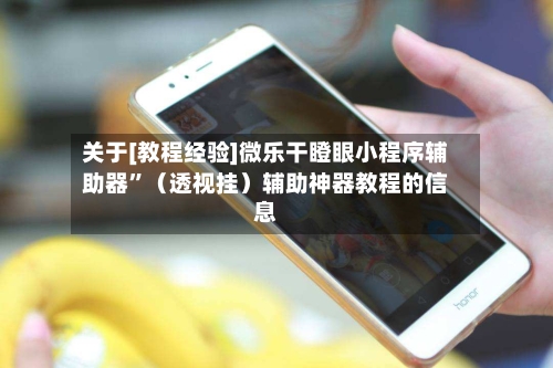 关于[教程经验]微乐干瞪眼小程序辅助器	”（透视挂）辅助神器教程的信息-第3张图片
