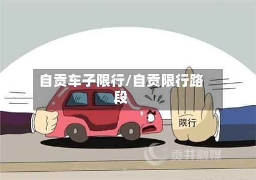 自贡车子限行/自贡限行路段-第2张图片