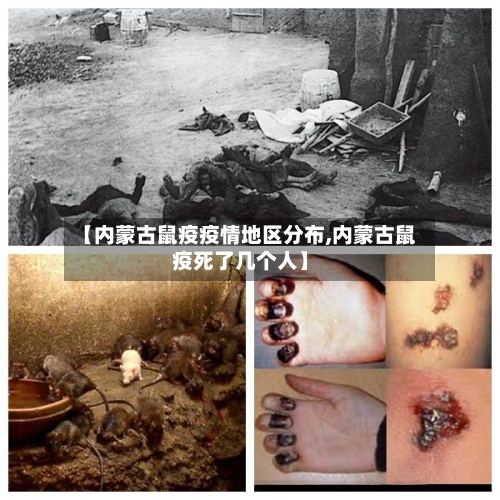 【内蒙古鼠疫疫情地区分布,内蒙古鼠疫死了几个人】