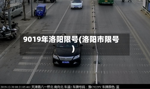 9019年洛阳限号(洛阳市限号)