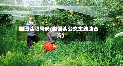 梨园头限号吗(梨园头公交车线路查询)-第2张图片