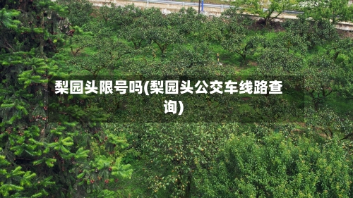 梨园头限号吗(梨园头公交车线路查询)