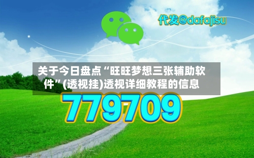 关于今日盘点“旺旺梦想三张辅助软件	”(透视挂)透视详细教程的信息-第3张图片