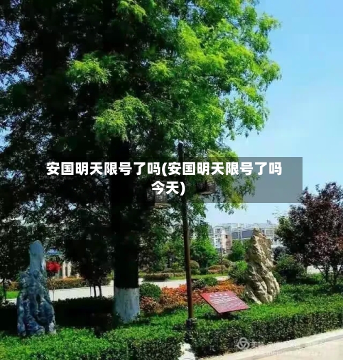 安国明天限号了吗(安国明天限号了吗今天)-第2张图片