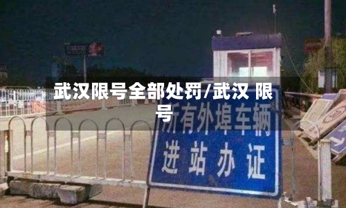 武汉限号全部处罚/武汉 限号-第2张图片