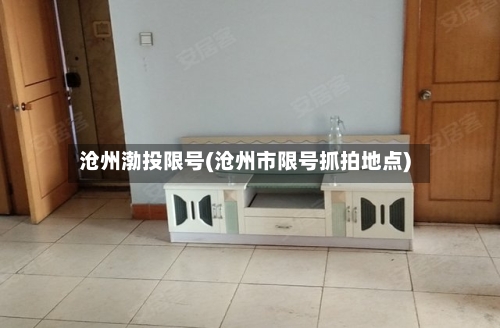 沧州渤投限号(沧州市限号抓拍地点)-第2张图片