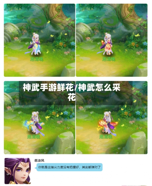 神武手游鲜花/神武怎么采花-第2张图片