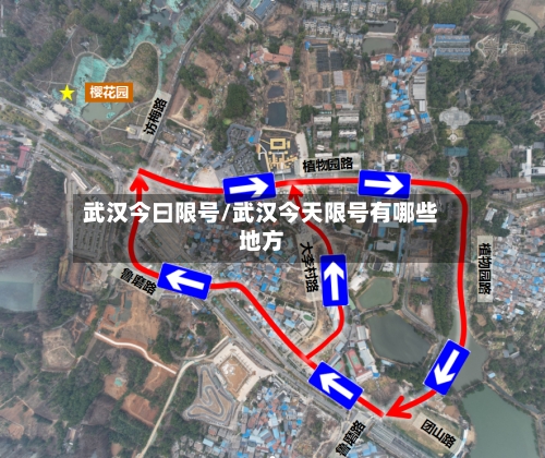 武汉今曰限号/武汉今天限号有哪些地方-第2张图片
