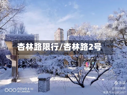 杏林路限行/杏林路2号-第2张图片