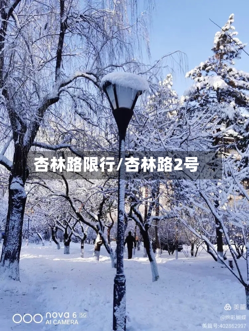 杏林路限行/杏林路2号