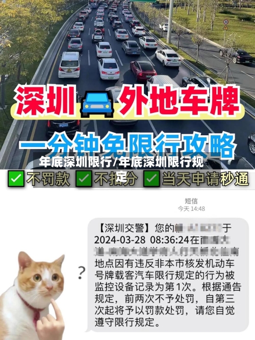 年底深圳限行/年底深圳限行规定-第3张图片