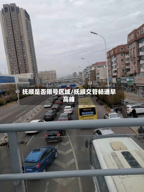 抚顺是否限号区域/抚顺交管畅通早高峰-第2张图片