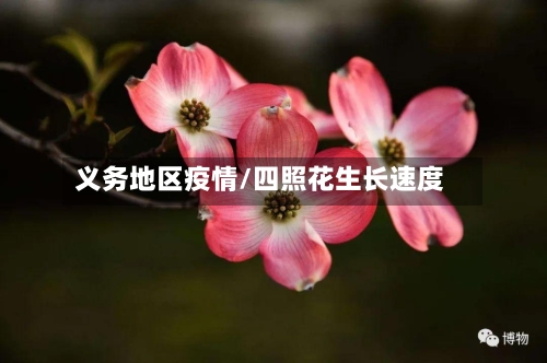 义务地区疫情/四照花生长速度-第2张图片