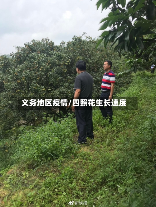 义务地区疫情/四照花生长速度-第3张图片