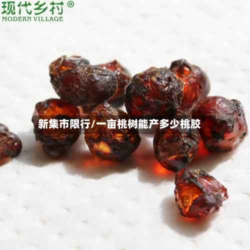 新集市限行/一亩桃树能产多少桃胶