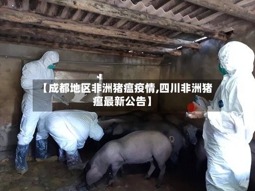【成都地区非洲猪瘟疫情,四川非洲猪瘟最新公告】-第3张图片