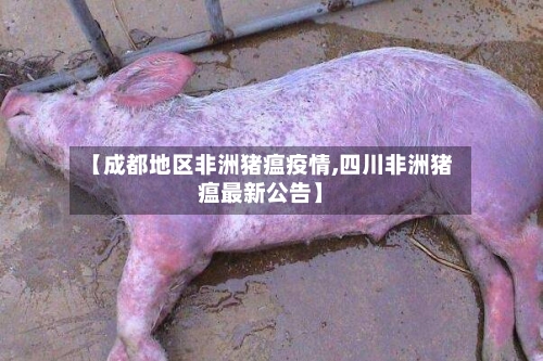【成都地区非洲猪瘟疫情,四川非洲猪瘟最新公告】-第2张图片