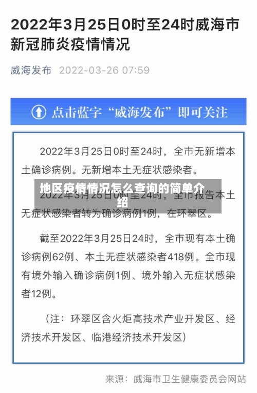 地区疫情情况怎么查询的简单介绍
