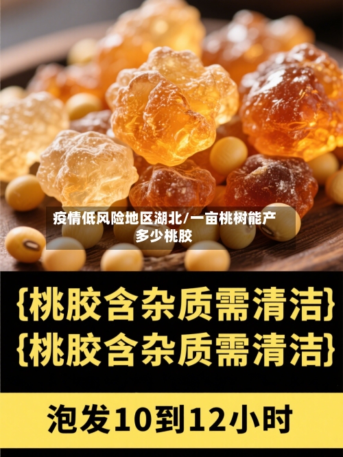 疫情低风险地区湖北/一亩桃树能产多少桃胶