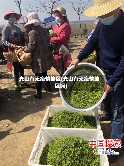 光山有无疫情地区(光山有无疫情地区吗)