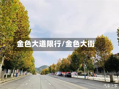 金色大道限行/金色大街