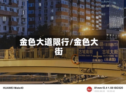 金色大道限行/金色大街-第2张图片
