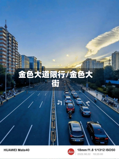 金色大道限行/金色大街-第3张图片