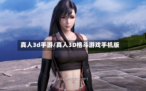 真人3d手游/真人3D格斗游戏手机版-第2张图片